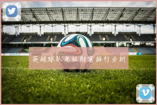 英超球队老板财富排行分析