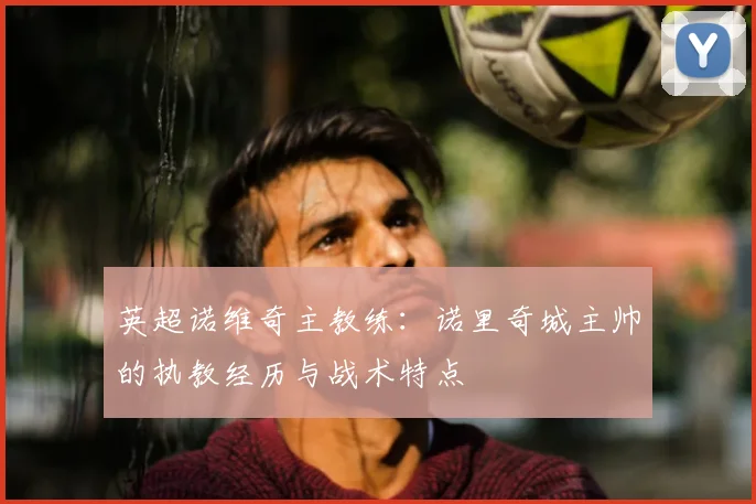 英超诺维奇主教练：诺里奇城主帅的执教经历与战术特点