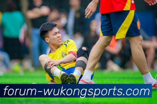 悟空体育平台生态图