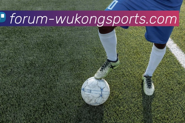 辅助工具 辅助工具